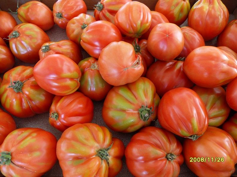 Tomates_3
