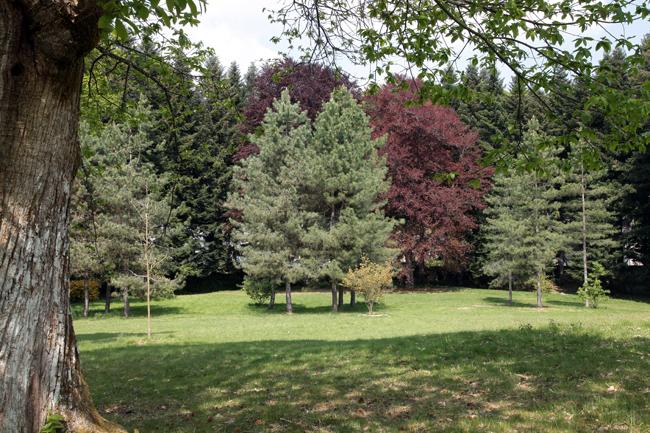 Arboretum du Château de Neuvic d'Ussel_2