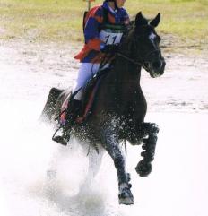Concours Complet d'Equitation Tournée des As Poneys_1