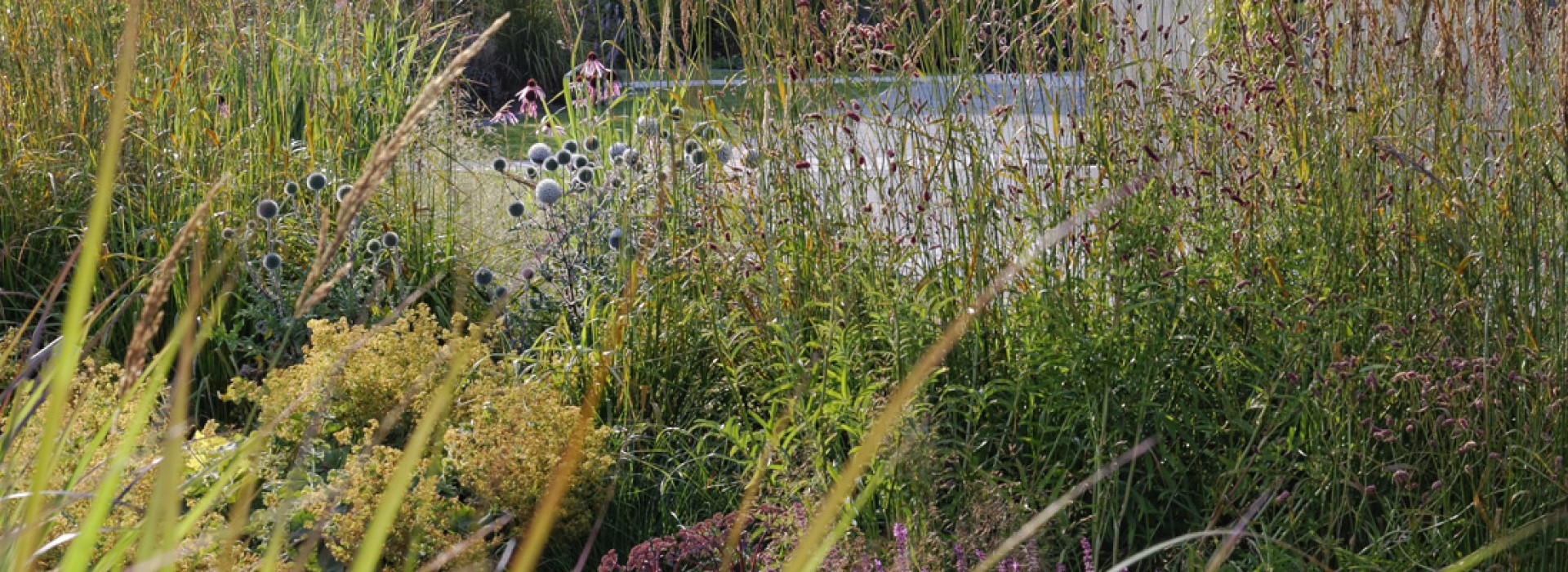 parcs_et_jardins_1