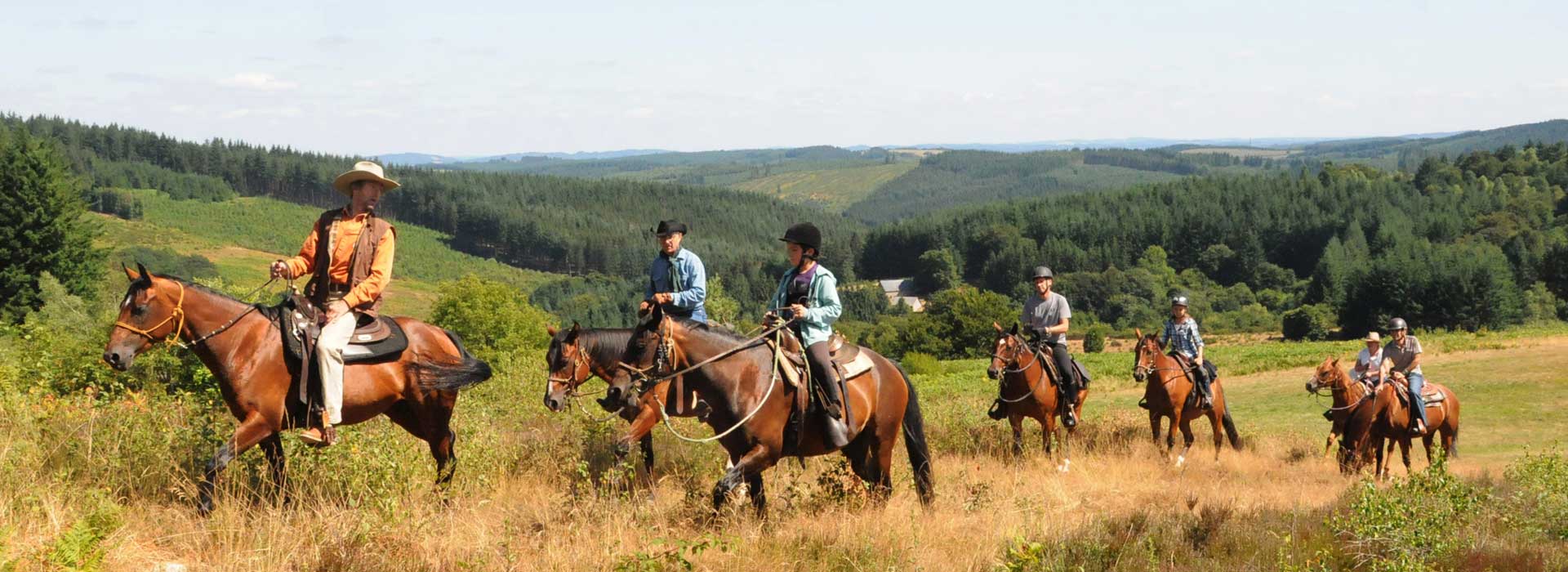 horses