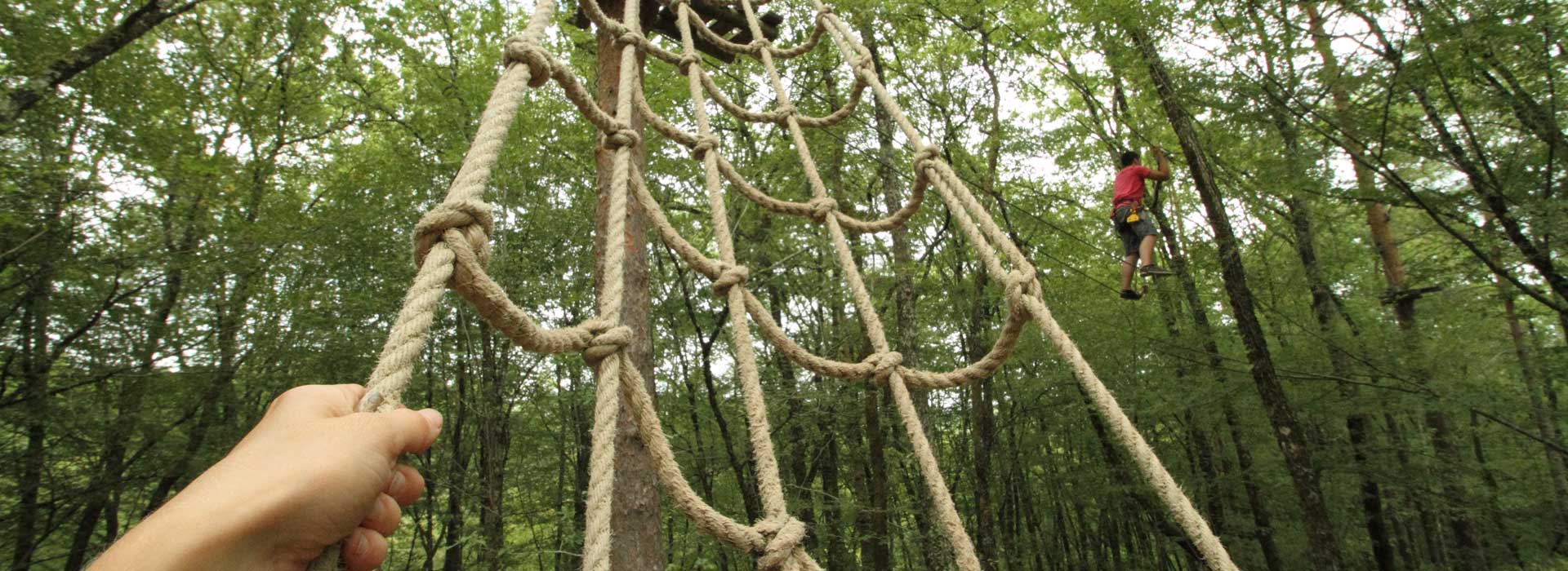 tree climbing