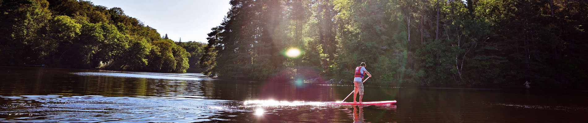 Paddle