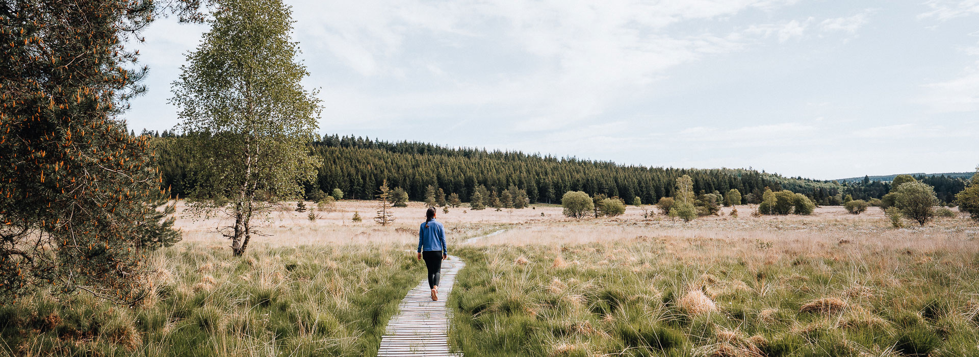 Tourbière du Longeyroux - @Michmichenvadrouille