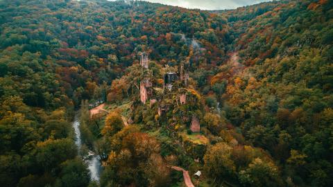 tours de merle