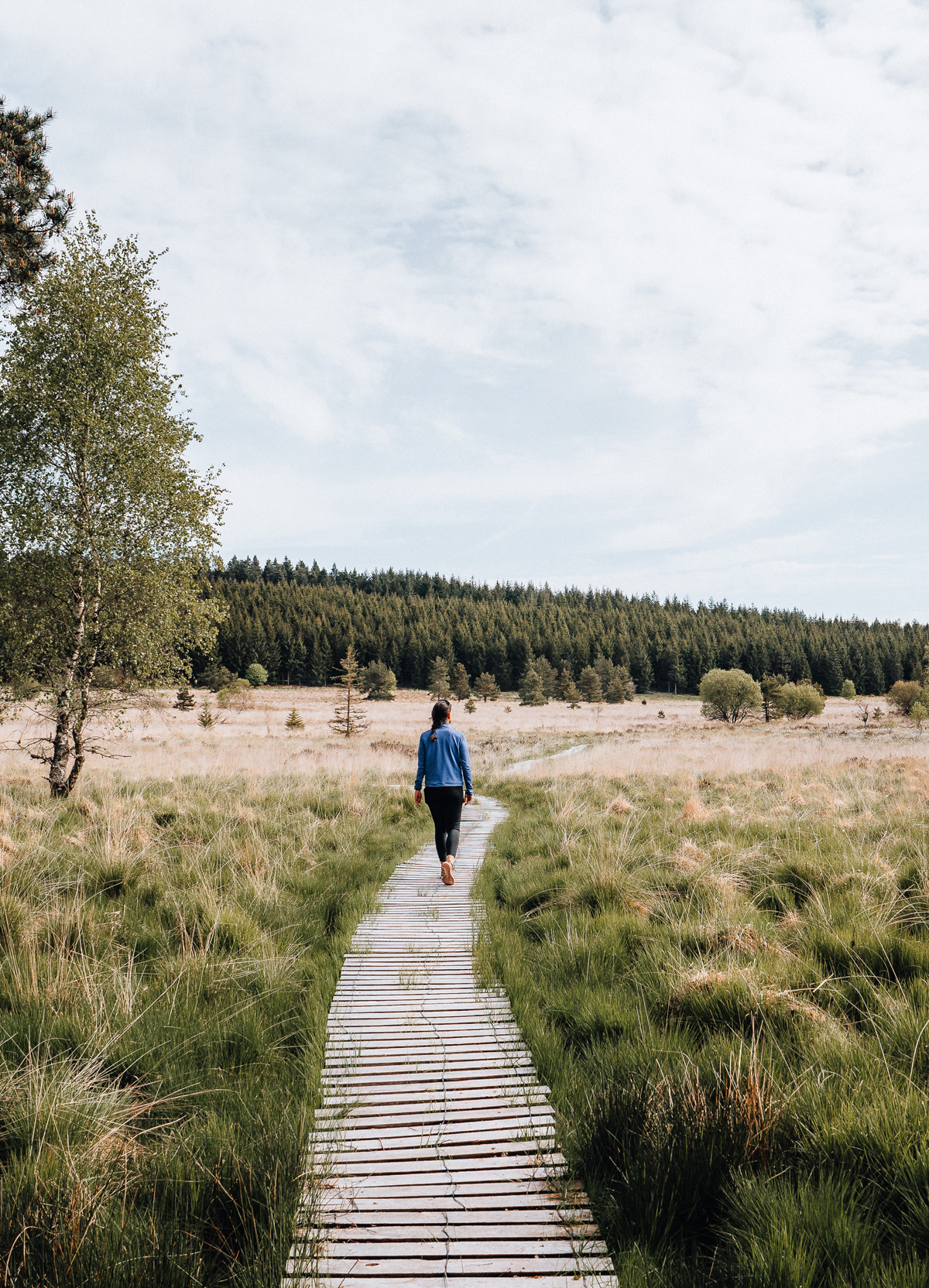 Nature incroyable - @Michmichenvadrouille