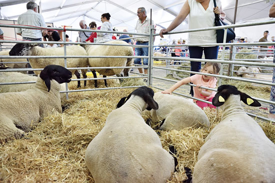 Festival de l'élevage Brive