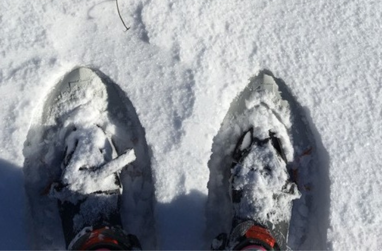 raquettes dans la neige