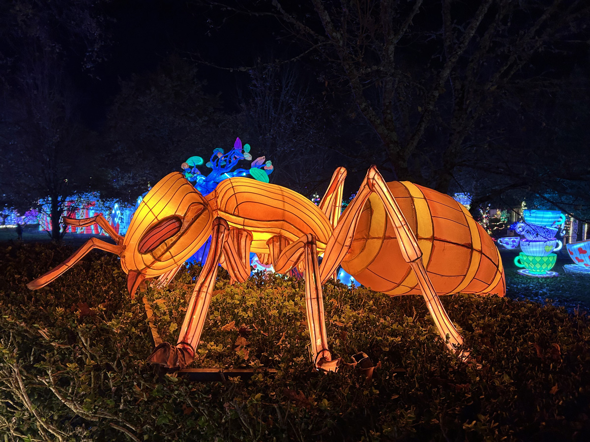 Féérie des lanternes château de Castel Novel