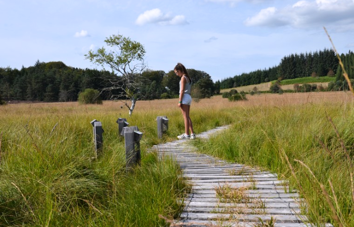 Tourbière du Longeyroux @Gilles Bergeal