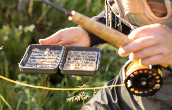 Mouches de pêche