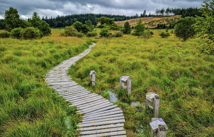 Tourbière du Longeyroux @JulienAudigier