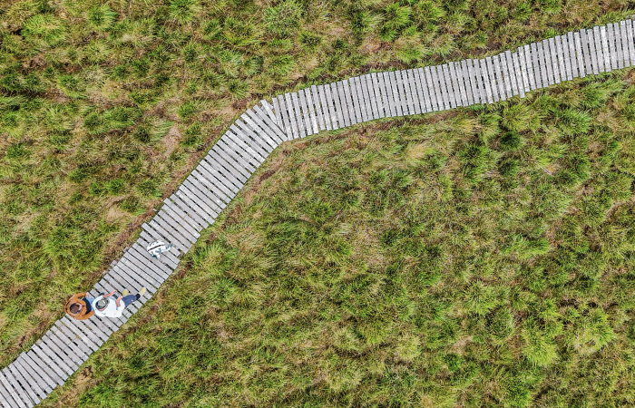 Tourbière du Longeyroux @JulienAudigier