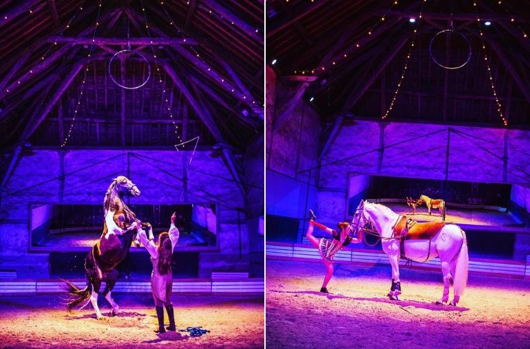 Spectacles équestres à Pompadour