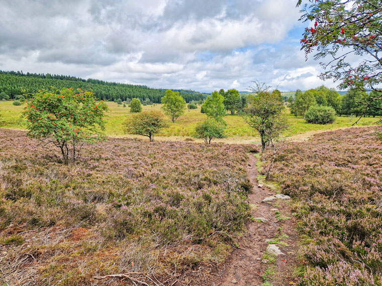 Tourbière du Longeyroux @ Julien Audigier