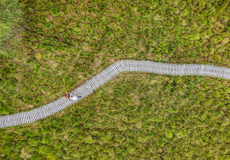 Tourbière du Longeyroux @ Julien Audigier