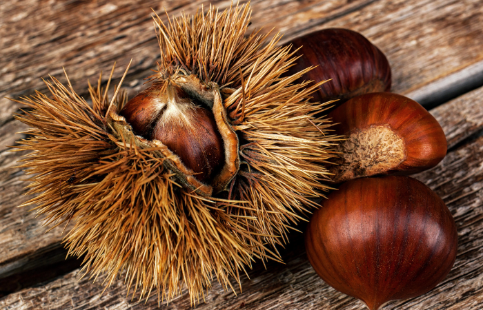 Châtaignes