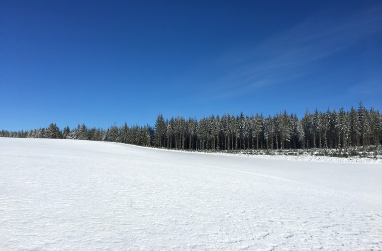 Paysage Neige