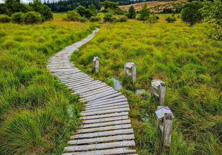 Sentier d'interprétation de la Tourbière du Longeyroux