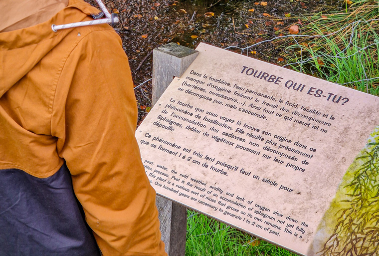 Sentier d'interprétation de la Tourbière du Longeyroux @JulienAudigier