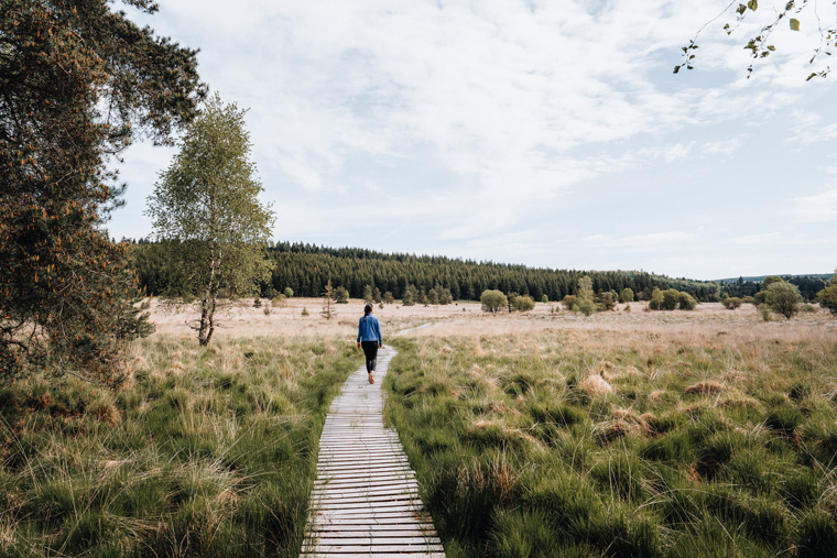 Sentier d'interprétation de la Tourbière du Longeyroux @Michmichenvadrouille