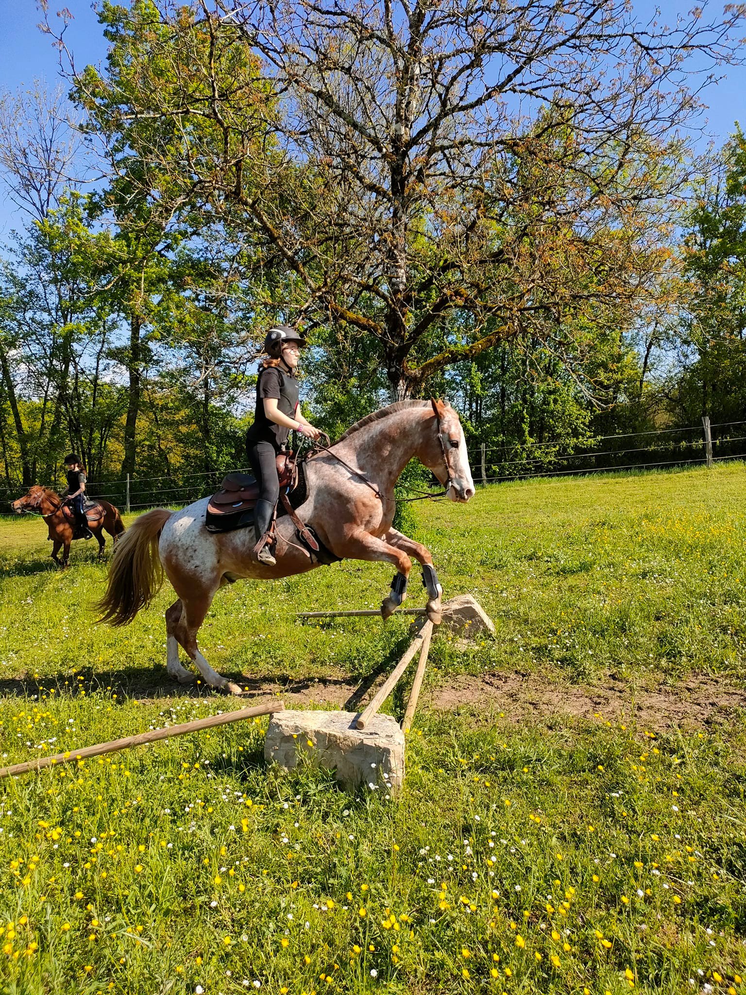 La Petite Famille SAINTJULIENMAUMONT Tourisme Corrèze