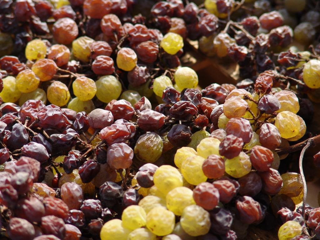 Domaine Chirac - Mage - Grappes de raisin_3