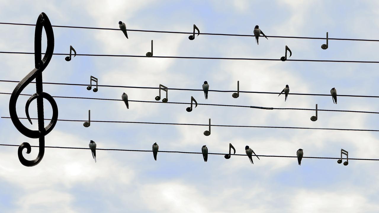notes musique hirondelles pixabay Dieter_G