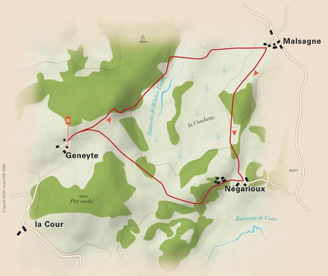 Chemin de découverte de la tourbière de Négarioux-Malsagne