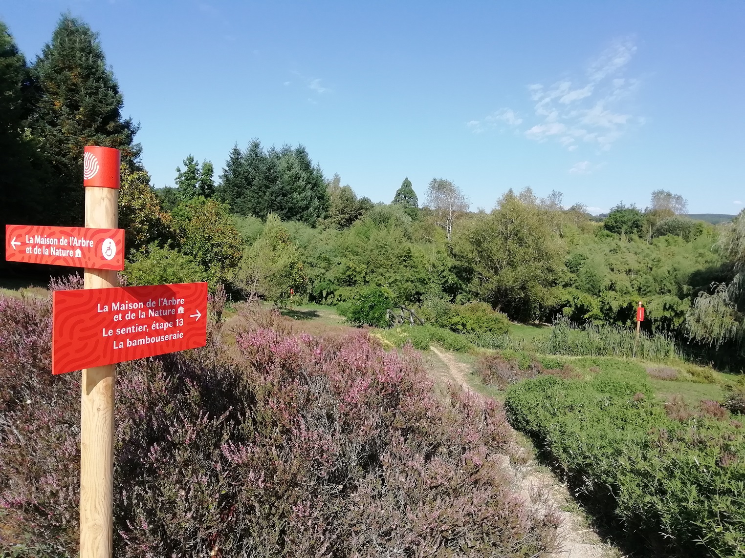 Parc arboretum de Chamberet_4