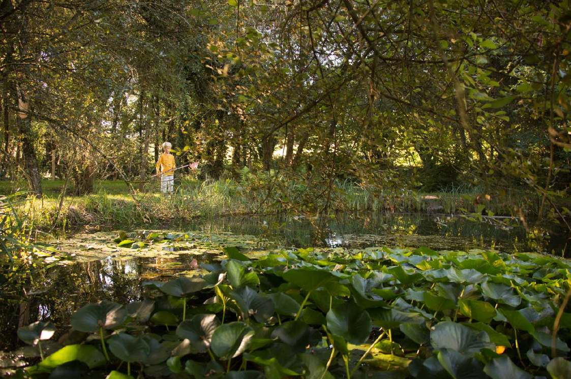 Parc arboretum de Chamberet_2