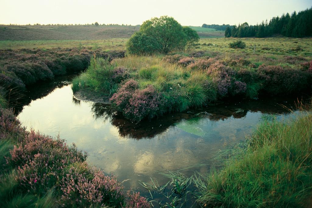 Le Parc naturel régional de Millevaches et ses 14 sites labellisés Natura 2000_1
