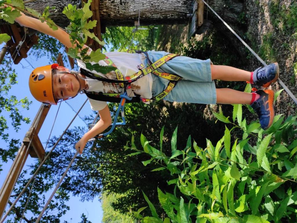 Montoz'Arbres : Parcours acrobatique en hauteur