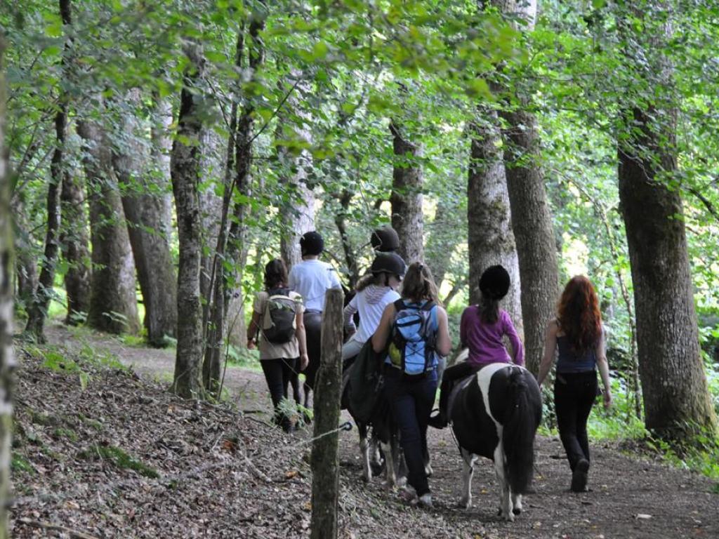 La Ronde des Poneys