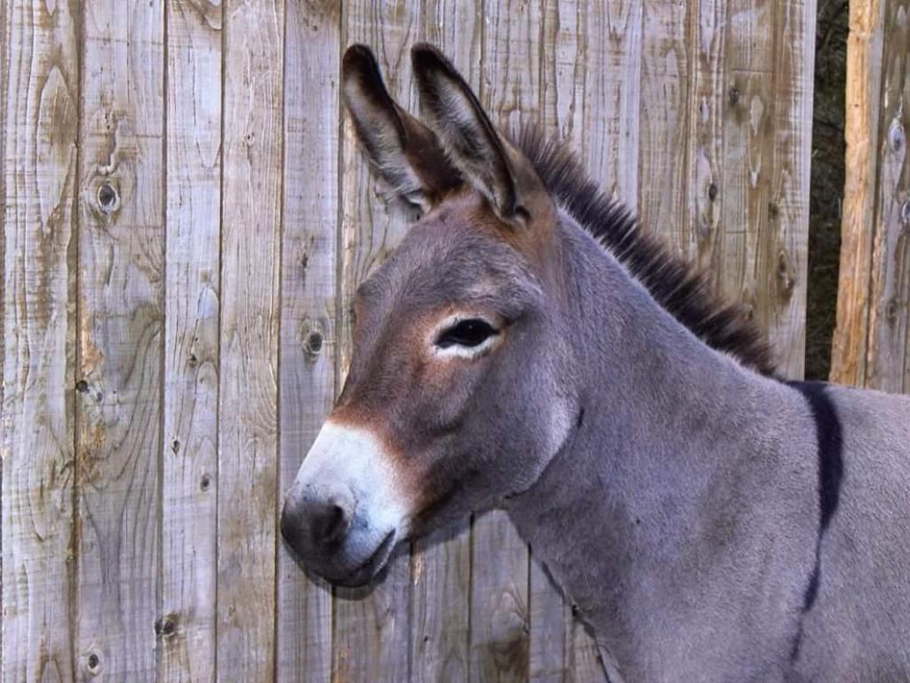 Ferme Pédagogique de la Bitarelle
