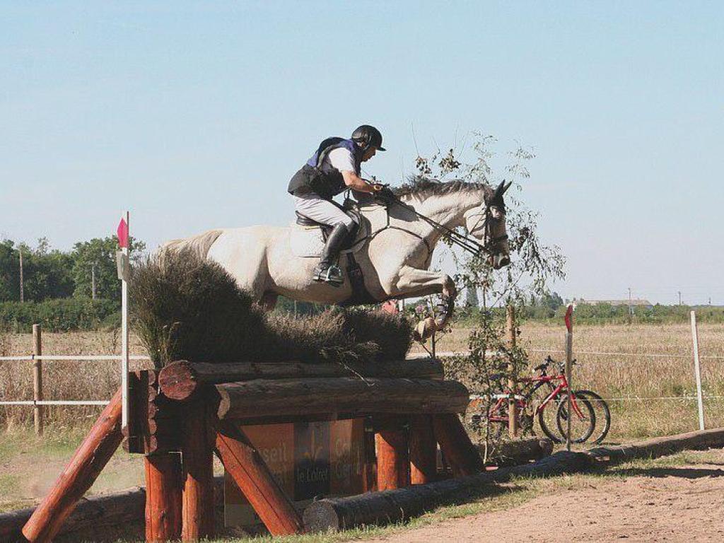 Ecuries Gilles Bordes