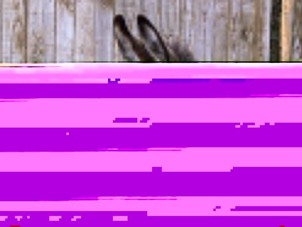 Ferme Pédagogique de la Bitarelle