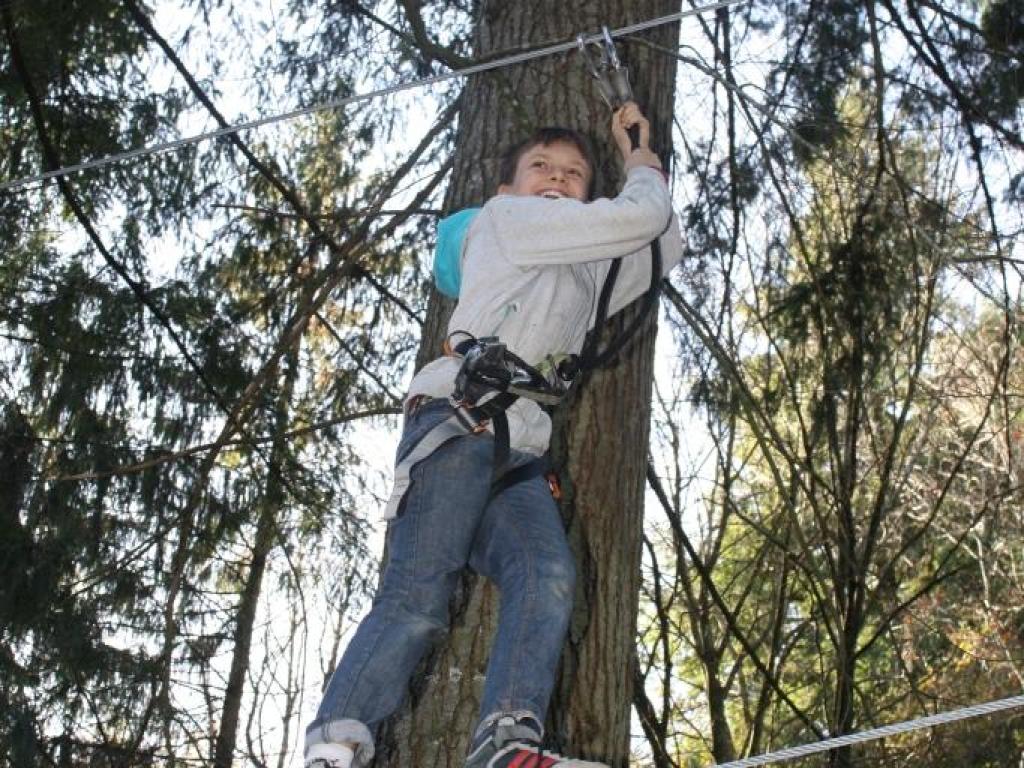 Ferme Pédagogique de la Bitarelle - Parcours dans les Arbres