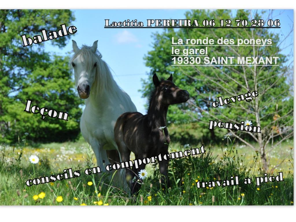 La Ronde des Poneys