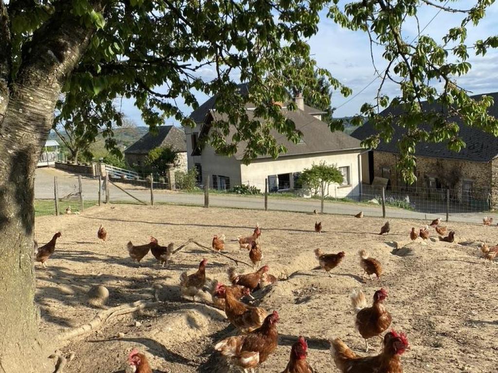 Du nid à l'assiette