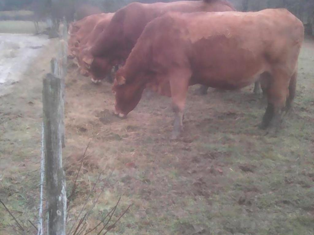 Ferme des 4 pattes
