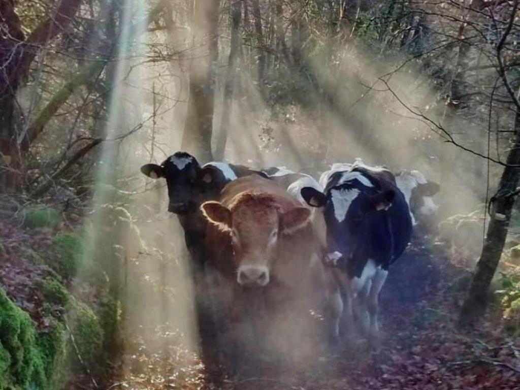 Ferme Fromagère Lou Roc