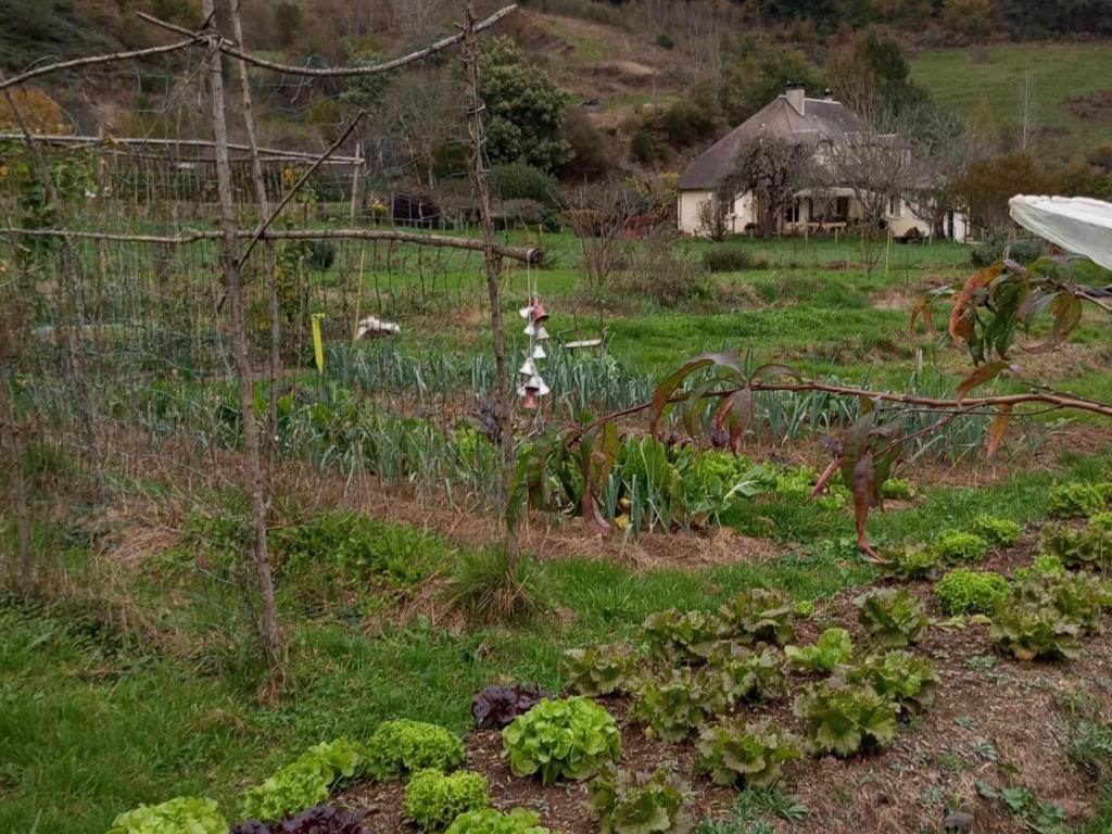 Les lucioles du chambariol