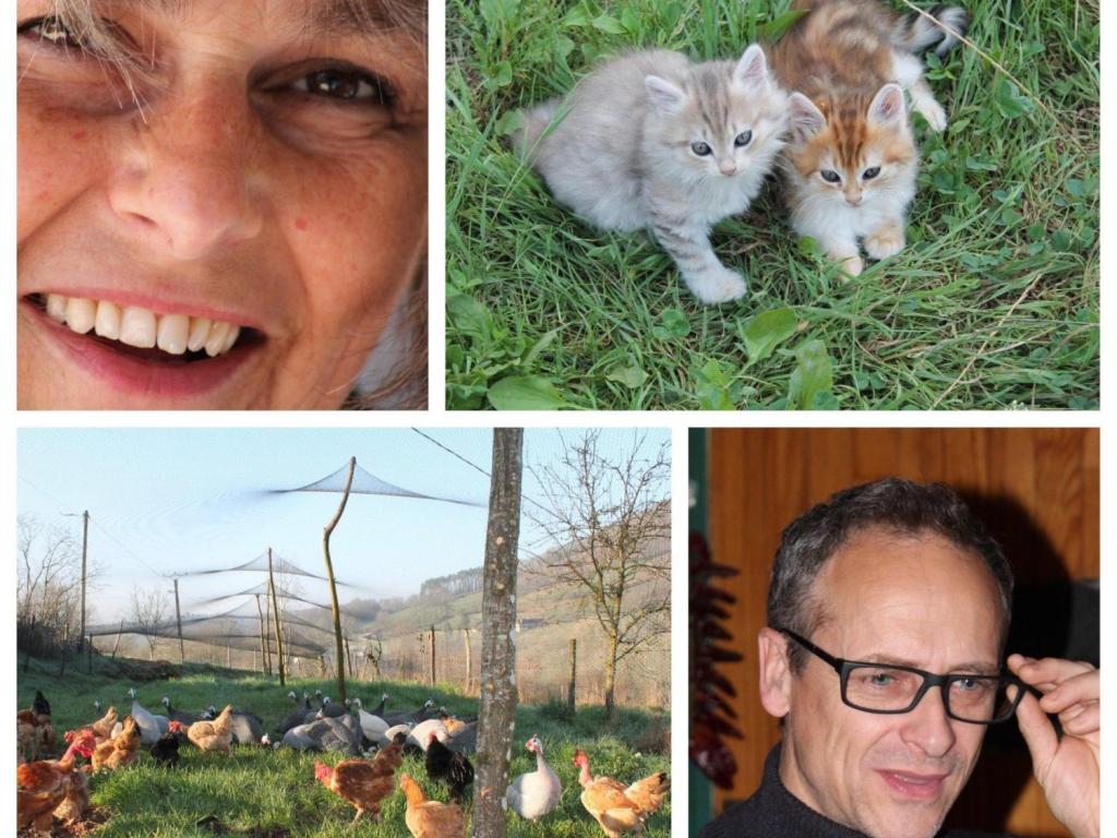 La Ferme d'à côté