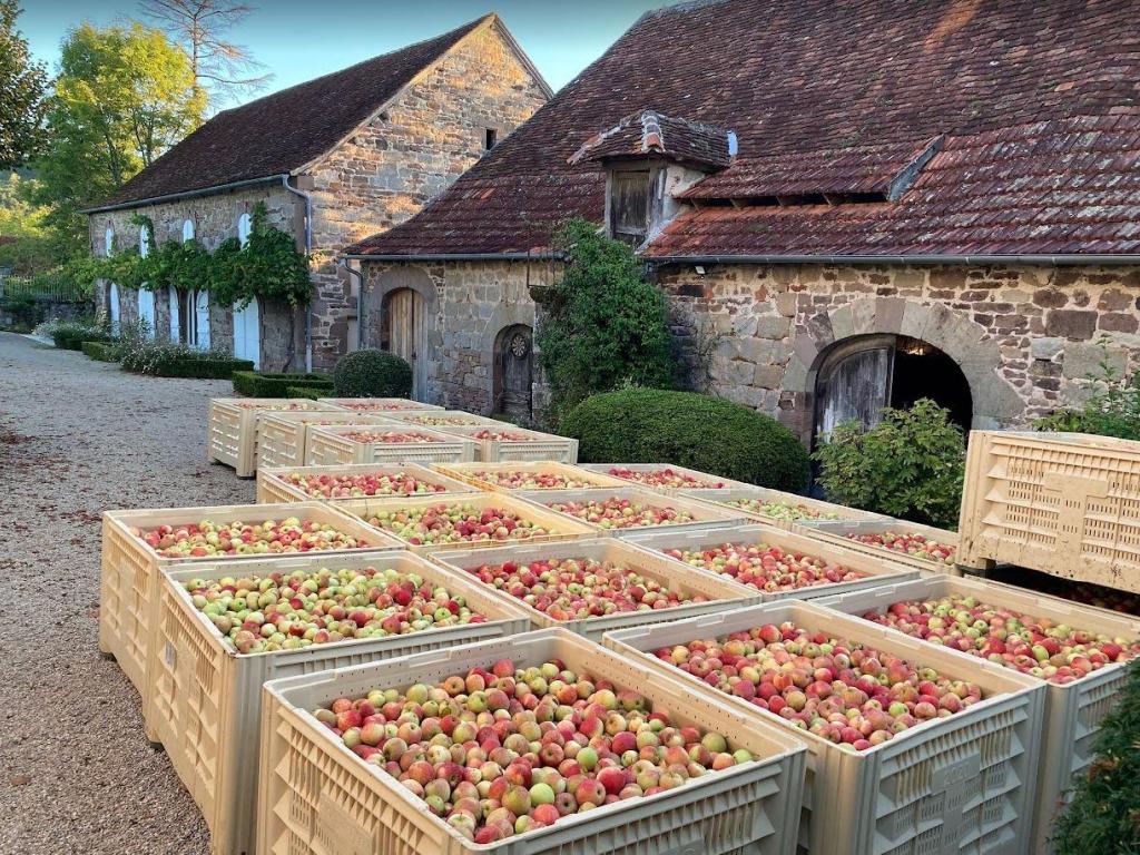 Pressoir du Manoir de Saint-Bazile
