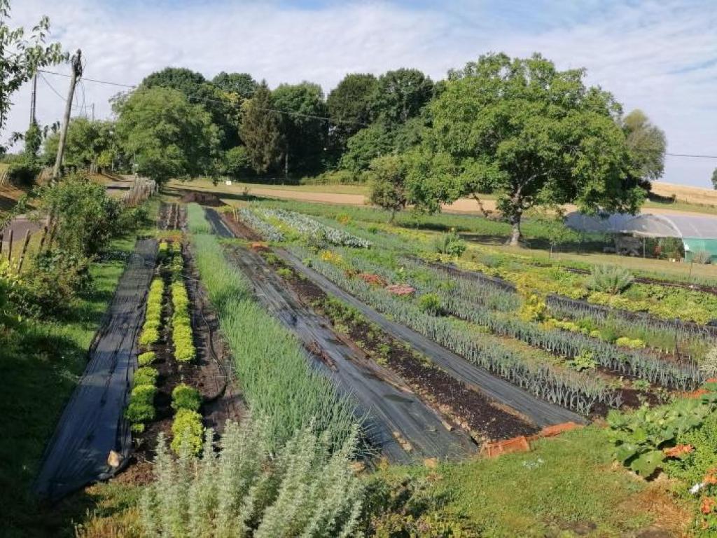 Les Jardin d'Antan