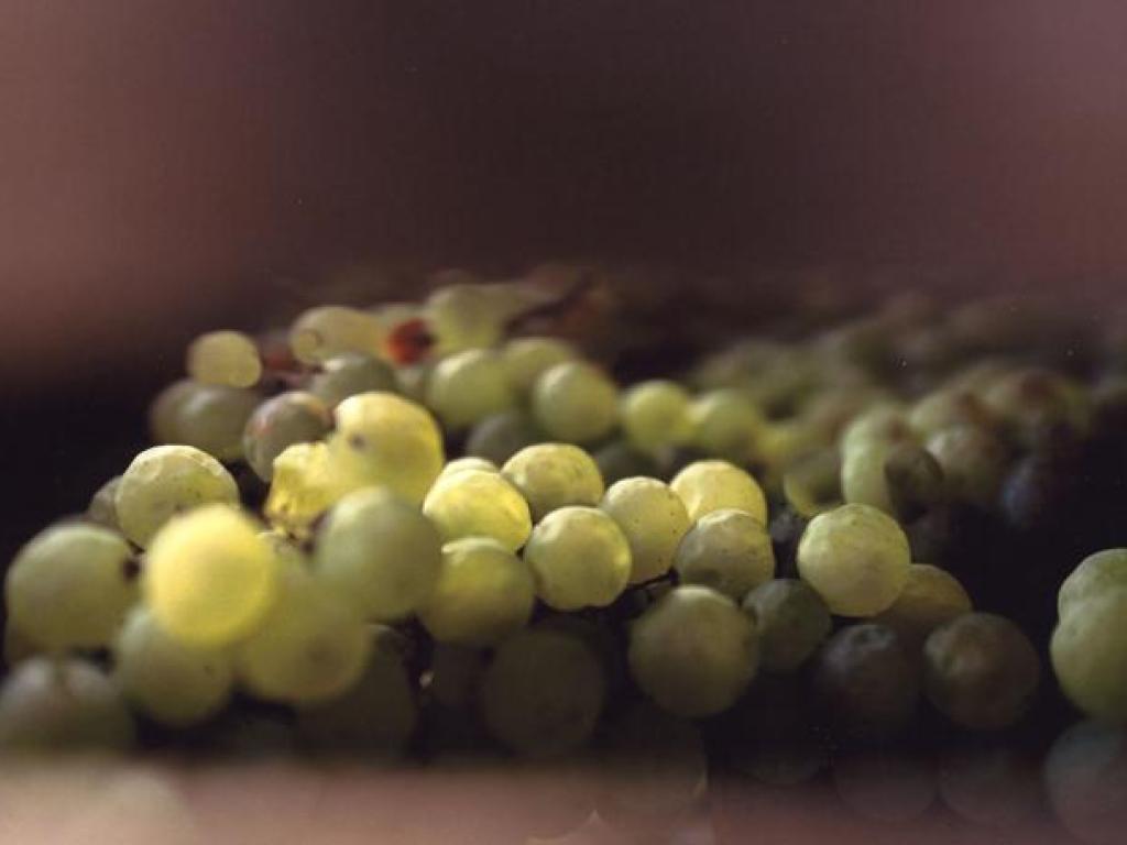Vin de paille AOC de Corrèze Le miel des muses
