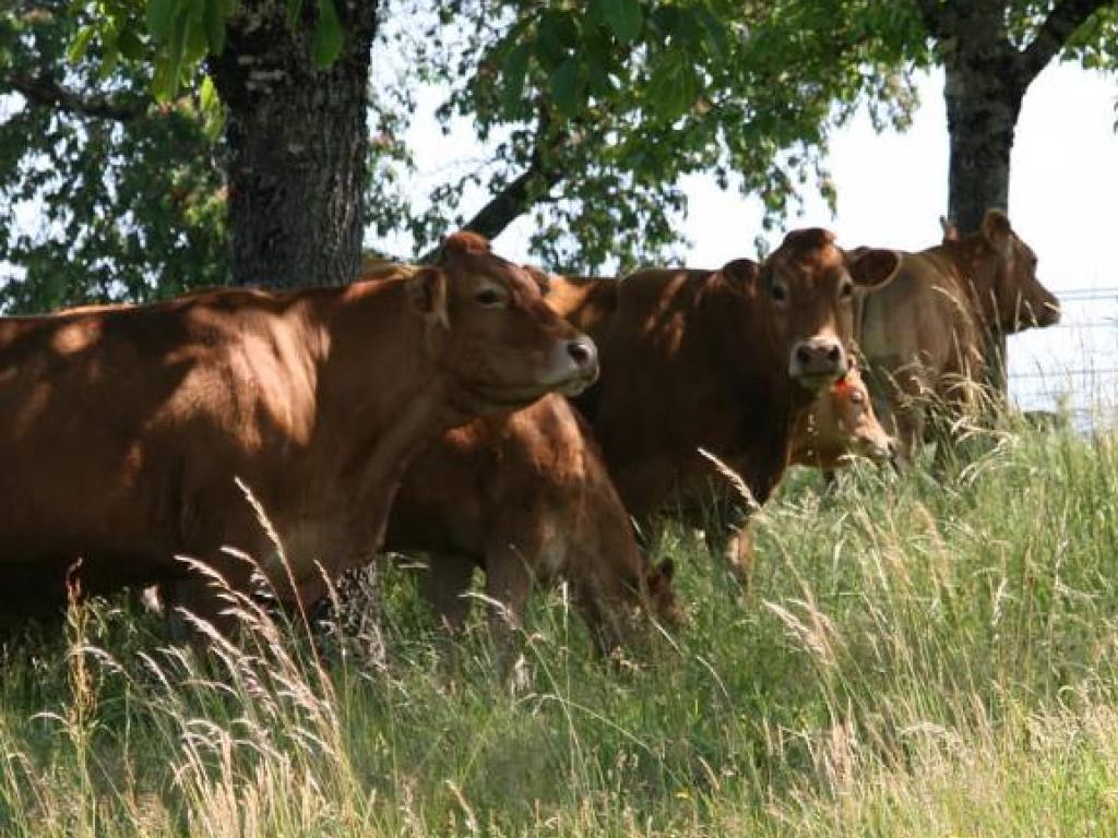 La Ferme de Chrystelle