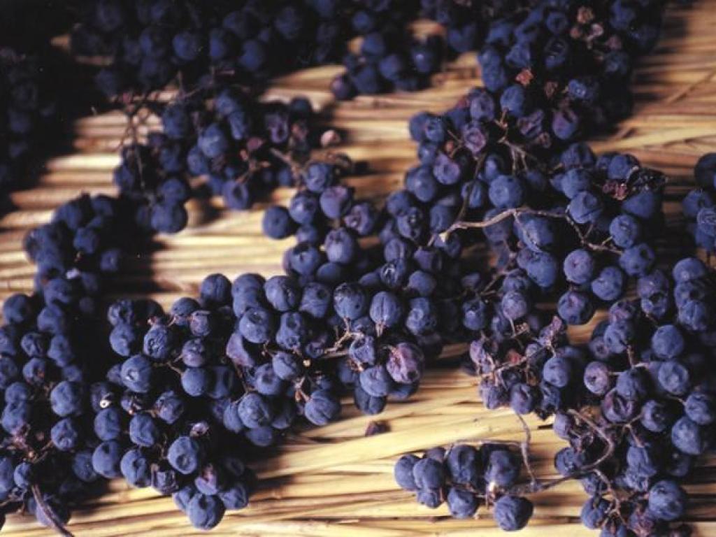 Vin de paille AOC de Corrèze Le miel des muses