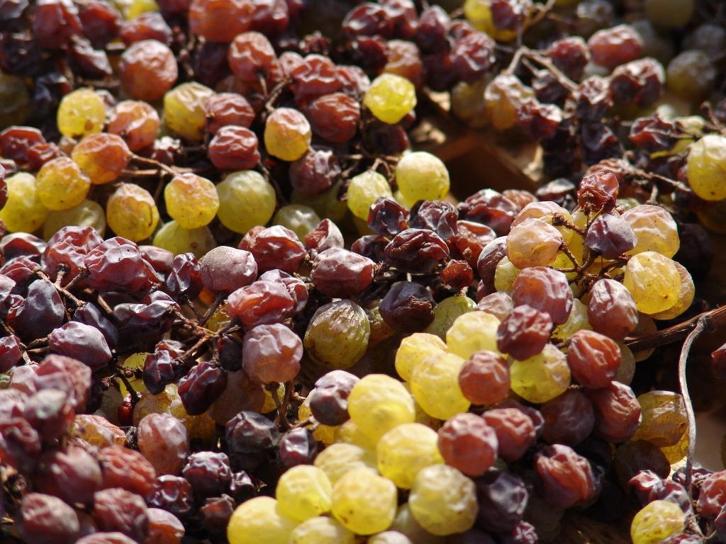Domaine de Chirac